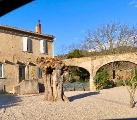La Maison De L'Aqueduc Cournanel Buitenkant foto